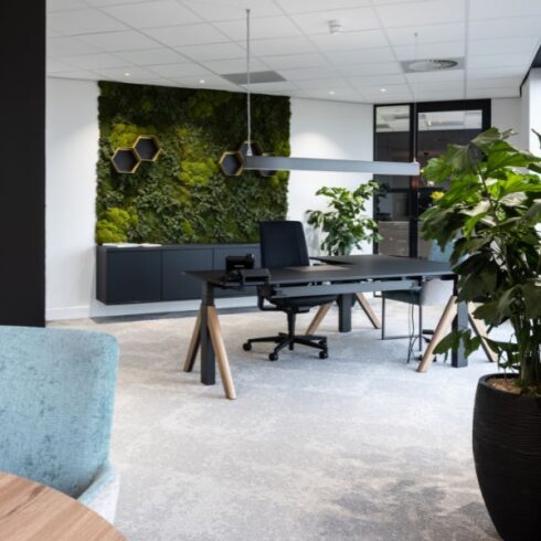 planten voor op kantoor