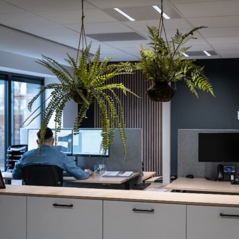 planten op kantoor